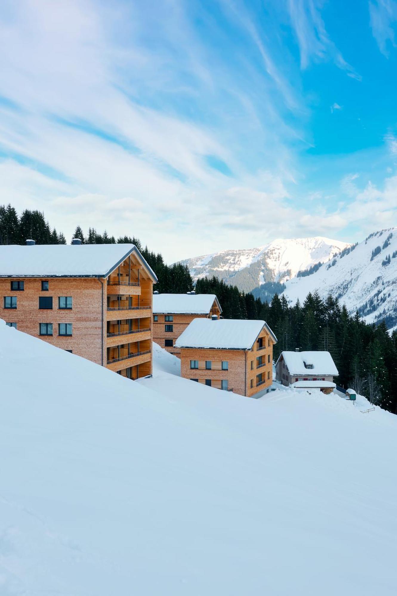 Alpenstolz Damuels Haus 2 - Stilvoll Urlauben In Den Bergen Apartment Luaran gambar